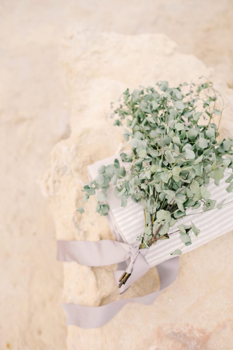 Bouquet de feuillage vert sur un carnet rayé déposé sur la roche beige