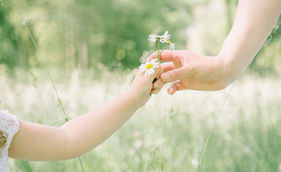 Enfant qui tend une fleur à sa maman dans un jardin